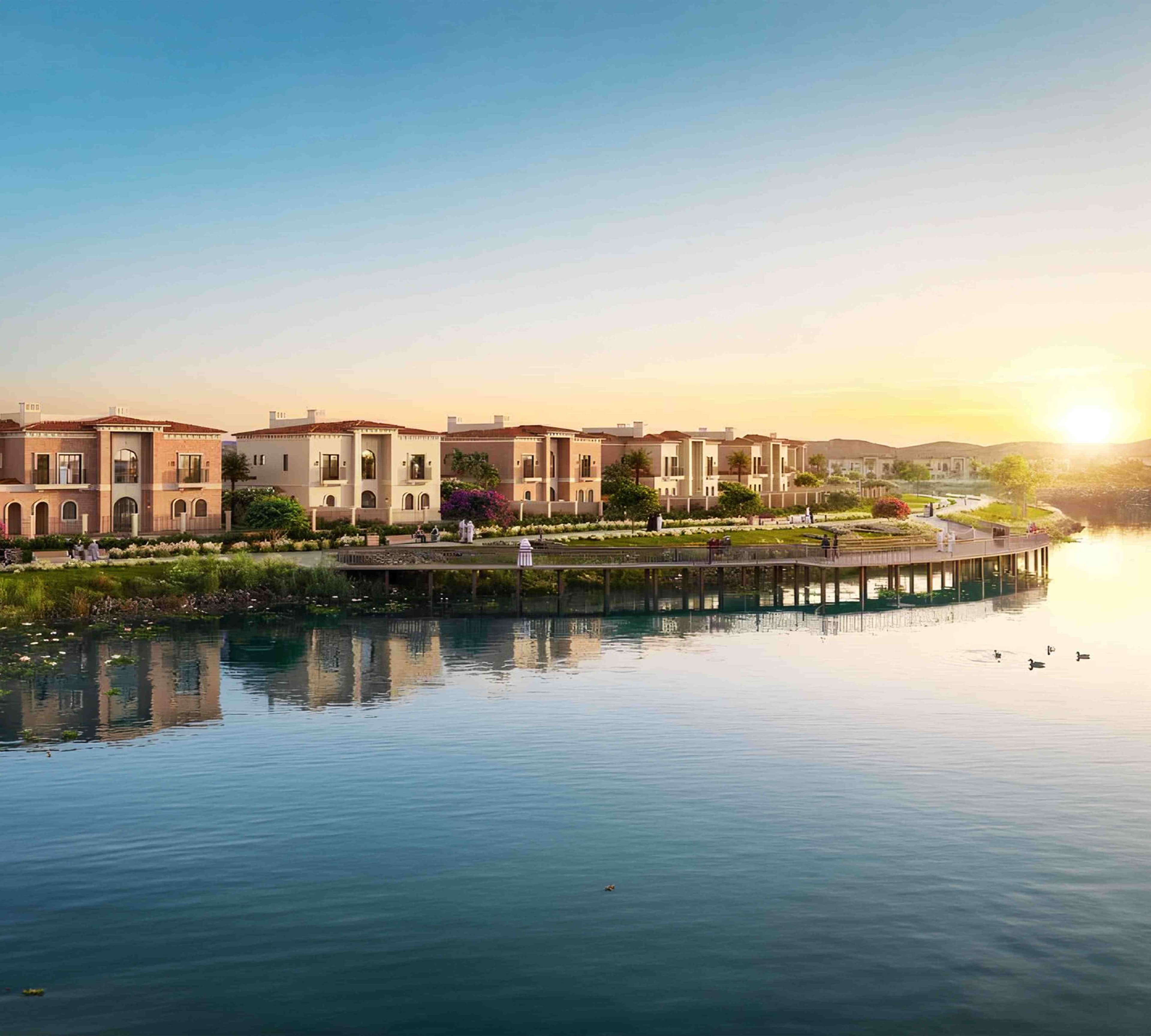 Zayed City